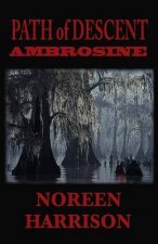 Path of Descent: Ambrosine