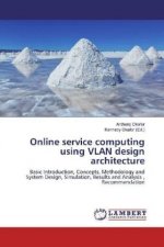 Online service computing using VLAN design architecture