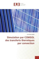 Simulation par COMSOL des transferts thermiques par convection