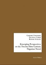 Emerging Perspectives on the Twenty-First Century Novel