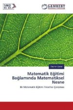 Matematik Egitimi Baglaminda Matematiksel Nesne