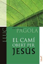 El camí obert per Jesús. Lluc
