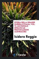 Storia Della Grande Guerra d'Italia; Vol. VI, Un Popolo Sfidato (Le Provocazioni Austriache)