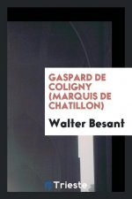 Gaspard de Coligny (Marquis de Chatillon)
