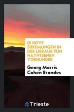 Di Hoyp Shremungen in Der Lieraur Fun Nayntsenen Yorhunder
