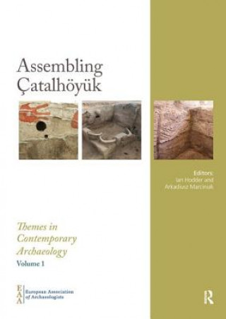 Assembling Catalhoeyuk