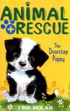 Doorstep Puppy