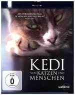 Kedi - Von Katzen und Menschen