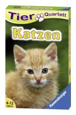Tier Quartett: Katzen