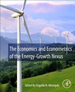Economics and Econometrics of the Energy-Growth Nexus