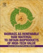 Biomass as Renewable Raw Material to Obtain Bioproducts of High-Tech Value