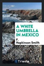 White Umbrella in Mexico