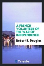 French Volunteer of the War of Independence