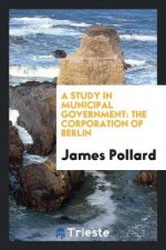 Study in Municipal Government