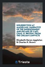 Insurrection at Magellan. Narrative of the Imprisonment and Escape of Capt. Chas. H. Brown, from the Chilian Convicts