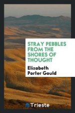 Stray Pebbles from the Shores of Thought