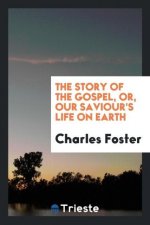Story of the Gospel, Or, Our Saviour's Life on Earth