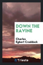 Down the Ravine