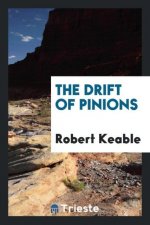 Drift of Pinions