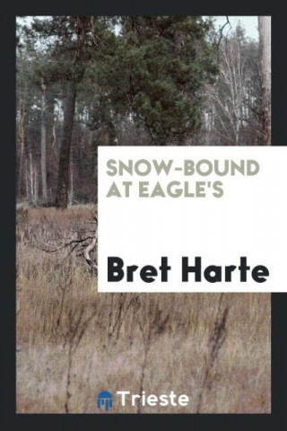 Snow-Bound at Eagle's