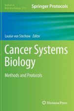 Cancer Systems Biology