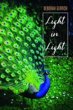 Light in Light