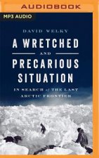 A Wretched and Precarious Situation: In Search of the Last Arctic Frontier