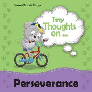 Tiny Thoughts on Perseverance