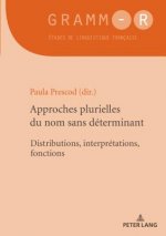 Approches Plurielles Du Nom Sans Determinant