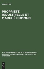 Propriete industrielle et marche commun