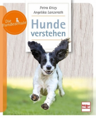 Krivy, P: Hunde verstehen