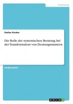 Die Rolle der systemischen Beratung bei der Transformation von Deutungsmustern
