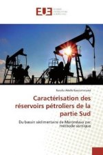 Caractérisation des réservoirs pétroliers de la partie Sud