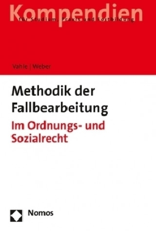 Methodik der Fallbearbeitung