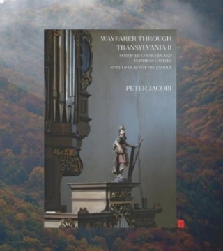 Wayfarer through Transylvania. Vol.2