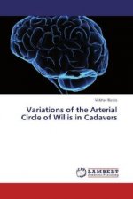 Variations of the Arterial Circle of Willis in Cadavers