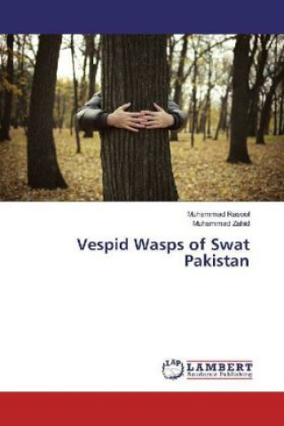 Vespid Wasps of Swat Pakistan