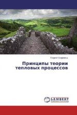 Principy teorii teplowyh processow