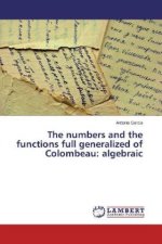 The numbers and the functions full generalized of Colombeau: algebraic