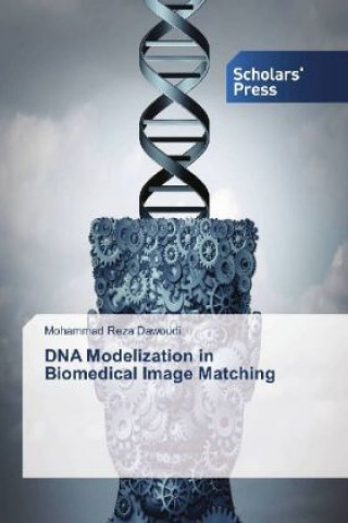 DNA Modelization in Biomedical Image Matching