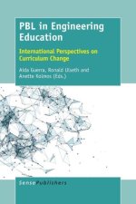 PBL in Engineering Education