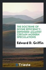 Doctrine of Divine Efficiency