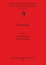 Miscellania: Proceedings of the XV UISPP World Congress (Lisbon 4-9 September 2006) / Actes du XV Congres Mondial (Lisbonne 4-9 Septembre 2006) Vol 47