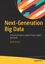 Next-Generation Big Data