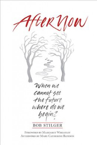 Afternow: When We Cannot See the Future Where Do We Begin?