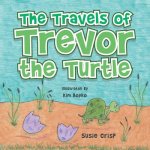 Travels of Trevor the Turtle