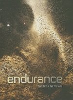 Endurance: Down and Dirty Off-Road Racing