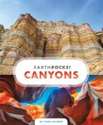 Earthquakes
