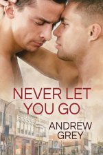 Never Let You Go