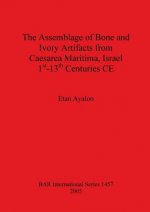 Assemblage of Bone and Ivory Artifacts from Caesarea Maritima Israel